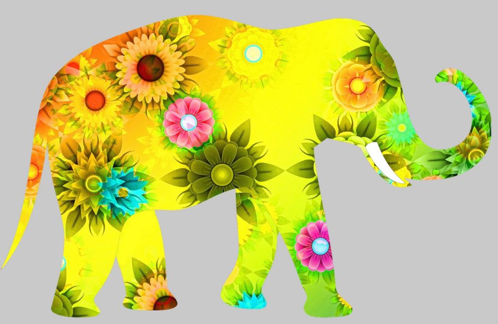 kolorowy słoń