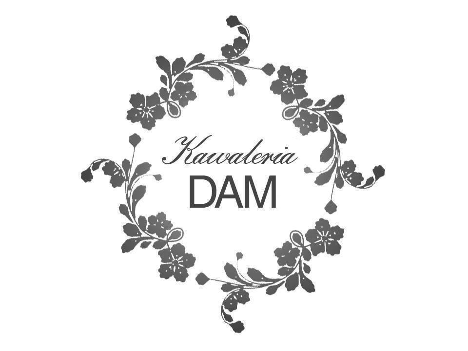 logo Kawaleria Dam